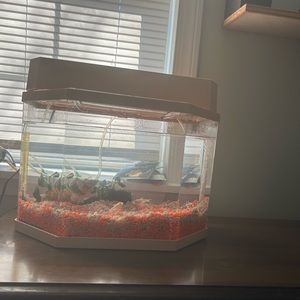 Meet your Posher, Michael